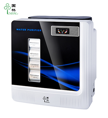 家用凈水器-100G蘋(píng)果機